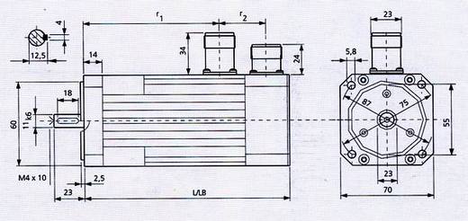 Rys_dsm07.jpg