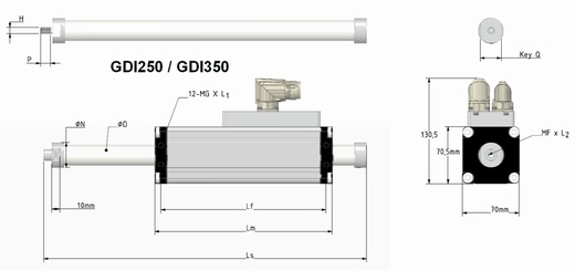 Rys_gdi250_gdi350.jpg